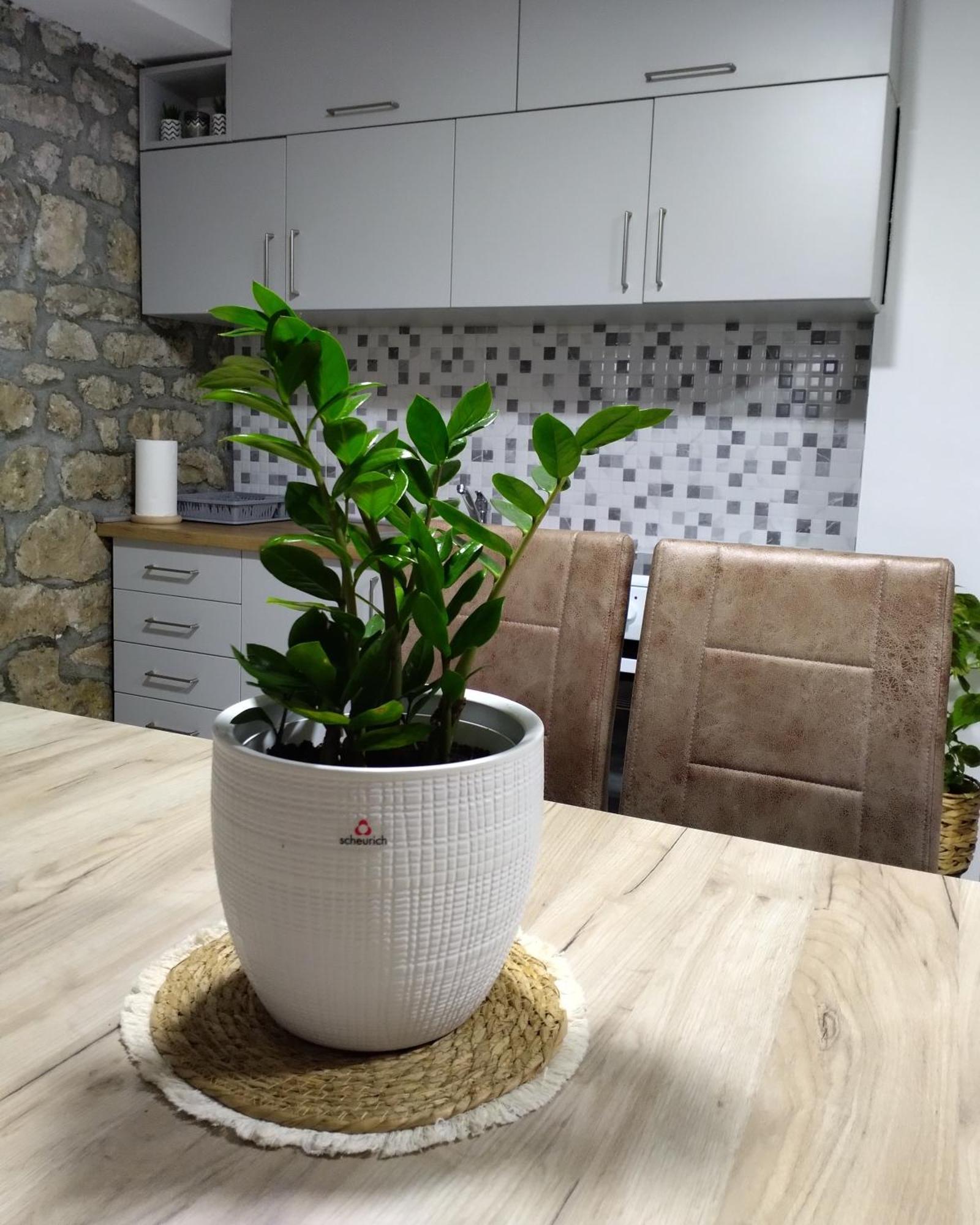 Apartmani Dumezic Bar Chambre photo